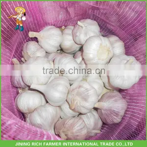 Export 5Kg/Bag Fresh Red Garlic thumbnail-1