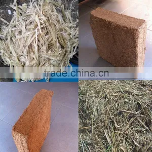 Cheap Price of Unfermented Bagasse thumbnail-1