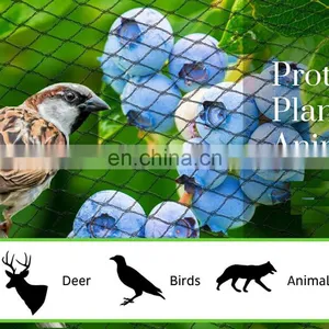 Manufacture High Dene and Vegetable Protection Agricultural Greenhouses HDPE Anti Bird Nets for Garden Net thumbnail-4
