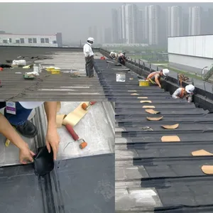 Roof Sealant thumbnail-1