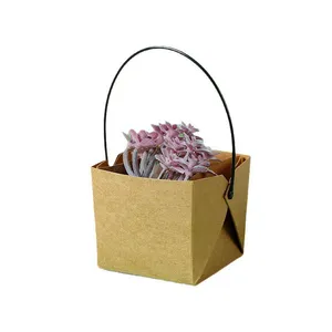 Cute Small Bag for Fleshiness Packaging thumbnail-1
