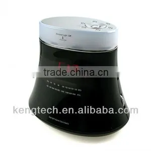 Deluxe Daylight Natural Sound AM FM Alarm Clock Radio thumbnail-2