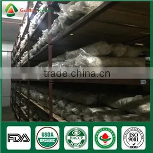 China Supplier High Quality Organic Greenhouse Fresh and Dried Shiitake Mushroom thumbnail-3
