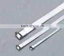 Hot Sale Stainless Steel Cable Tie (ladder Type ) 12*600 thumbnail-4