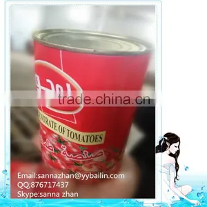 China Hot Sell Traditional Food,tomato Sauce thumbnail-1