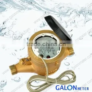 Reed Switch Water Meter thumbnail-1