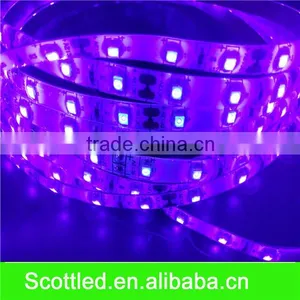 Chines Factory Supply DC12V 30LEDS/M LED Strip Light Led UV Strip.led Flexible Light SMD5050 thumbnail-3
