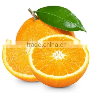 Chinese Fresh Navel Orange thumbnail-1