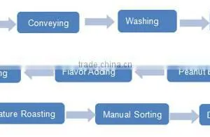 High Effcient Good Quality Salty In Shell Peanut Plant Equipment thumbnail-6