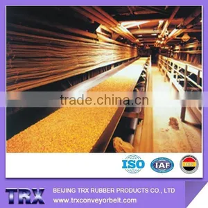 Chemical Resistant Conveyor Belt thumbnail-1