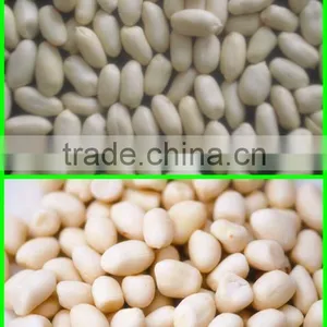 Blanched Peanut thumbnail-3