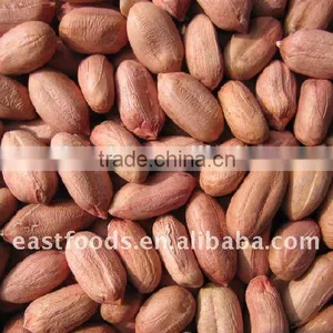 Long Type Peanut Kernel From China thumbnail-6