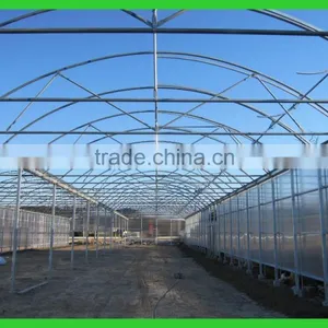 Export to Japan Agriclutural Polycarbonate Greenhouse thumbnail-1
