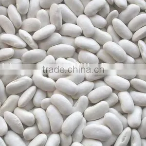 We Are Supply Kidney Beans, Medium White Kidney Beans With Competitive Price Quality Choice thumbnail-1