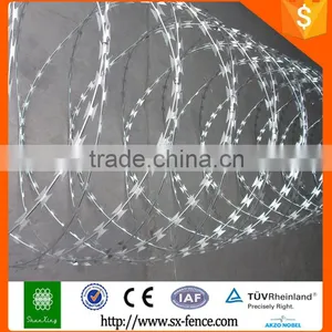 Fence Wall Plastic Bird Spikes Strip Anti Climb Spikes thumbnail-6