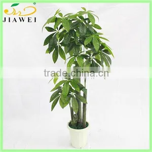 Fake Artificial Money Trees Decorative Indoor Big Plastic Trunk thumbnail-1