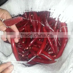 FRESH CHILI thumbnail-2