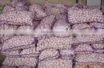 New Crop Fresh Normal White Garlic(5.5cm) thumbnail-1