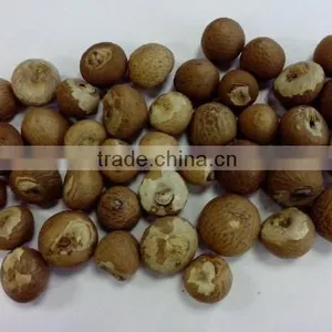 BETEL NUT thumbnail-1