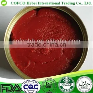 Tomato Paste in Bulk thumbnail-1