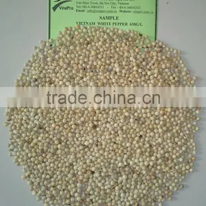 VIETNAM WHITE PEPPER 600 G/L; 630 G/L thumbnail-2