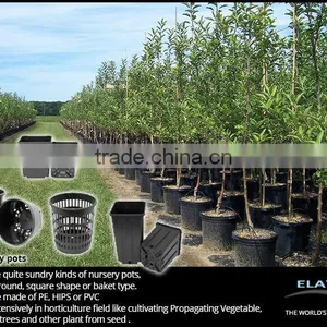 Decorative Pots thumbnail-2