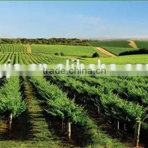 Micro Irrigation for Farm and Greening thumbnail-5