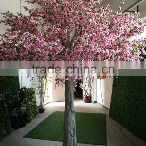 Decorative Garden Flower Trees thumbnail-1
