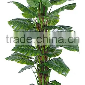 Artificial Bonsai Tree Artificial Taro Simulation Trees thumbnail-6