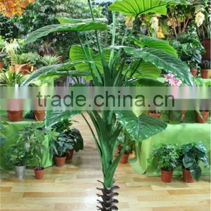 Artificial Bonsai Flower Tree for Home/garden Decor Sale [ABF-14]( Plant of ESTE ) thumbnail-5