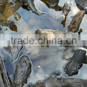 Natural Driftwoods for Aquarium Decoration thumbnail-3