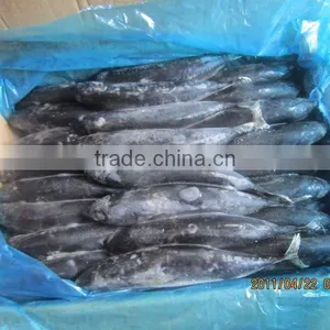 Frozen Sea Food Skip Jack W/R & YELLOW FIN TUNA W/R thumbnail-1