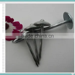 Umbrella Roofing Nails With Gunny Bag Packing thumbnail-6