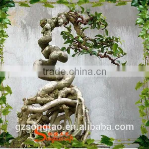 Artificial Plastic Banyan Tree 5-6ft High Fake Curved Trunk for Garden Decoration thumbnail-4