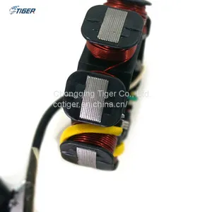 Motorcycle Magneto Coil Stator, 8 Poles, OEM Engine Parts thumbnail-2