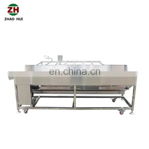 Automatic Lemon Plum Cherry Blue Berry Fruit Washer Brush Rollers Baby Carrot Potato Turnip Vegetable Washing Machine on Sale thumbnail-2