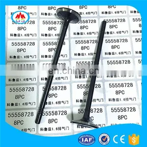 Big Bike Sports Motorcycle Parts Engine Valve for RUSI SSX CBR150 Ss-z 125 thumbnail-2