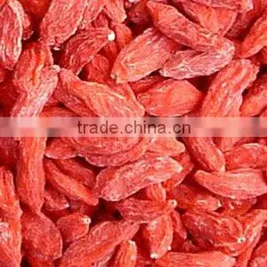 Organic Dried Goji Berry thumbnail-1