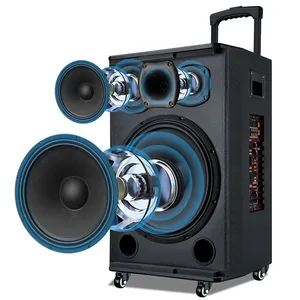 12-inch Outdoor Party Subwoofer With Bluetooth thumbnail-2