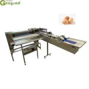 Egg Grading Machine Automatic Egg Sorting Machine Chicken Egg Sorter for Homeuse thumbnail-2