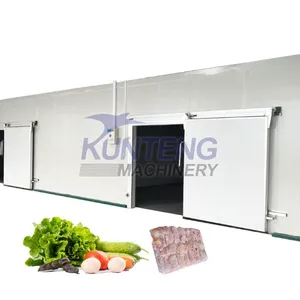 Commercial Fruit Vegetables Cold Room Storage Potato Fish Lemon Cold Warehouse thumbnail-1