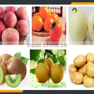 Leader Middle Fruit Peeling Machine for Dichroa Pomelo, Orange, Lemon thumbnail-5
