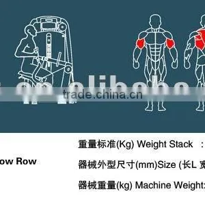 Best Selling Professional Gym Machine / TZ-6021 Low Row/Back Muscle Training thumbnail-3