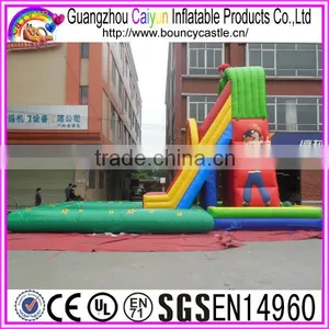 Double Arch Inflatable Water Slide With Big Pool thumbnail-3