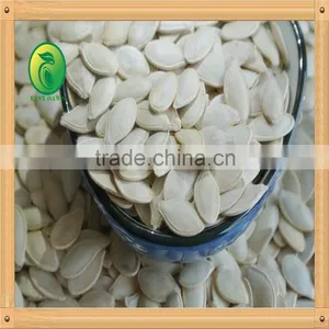 Shine Skin Pumpkin Seeds Raw Material for Roast and Salted thumbnail-3