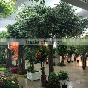 Guangzhou Susan Landscape Artificial Plants Co., Ltd. company overview - view 3 thumbnail