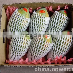 Foamed Fruit Net Polyethylene Production Equipment thumbnail-5