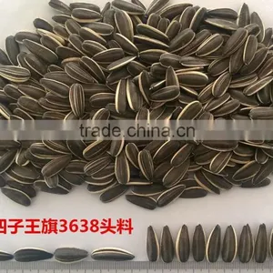 2016 New Crop Sunflower Seeds 3638 Market Price thumbnail-4
