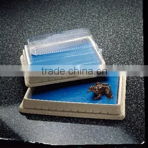 Polyethylene Dissecting Pan Sets Replacement Cover for Medium Dissection Pans (Each) thumbnail-1