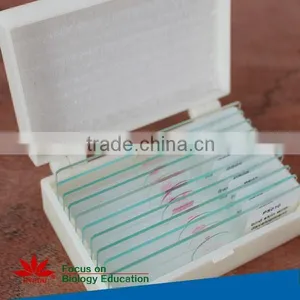 Individual Microscope Prepared Slides Medical Parasite Microscope Slides thumbnail-4